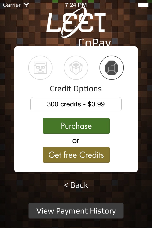 LEET Co-Payments screenshot 2