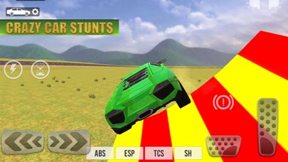 Ultimate Car Stunts screenshot 3