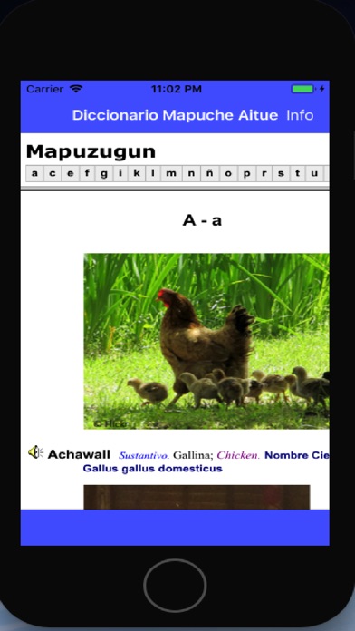 Diccionario Mapuche Aitue screenshot 2