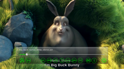 Subtitles Player Screenshot 1