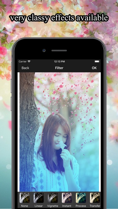 Flower Rain Effect Pic Editor screenshot 3