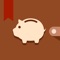 We provide two version for iOS (Money Manager Next, Money Manager Pro)
