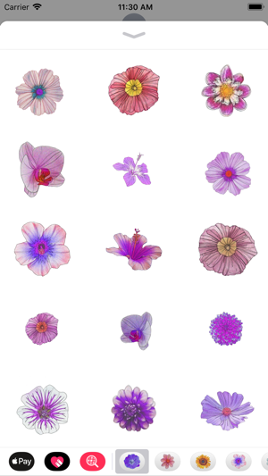 Purple Flower Sticker Pack(圖2)-速報App