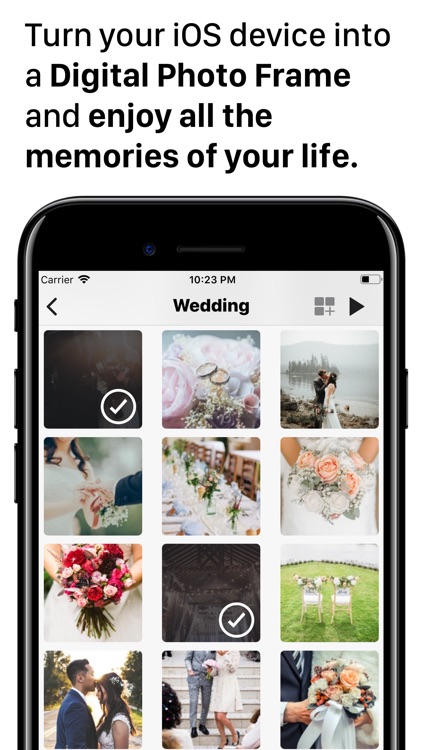 Digital Photo Frame + Pro