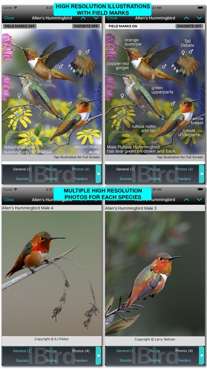 iBird Pro Guide to Birds screenshot-3