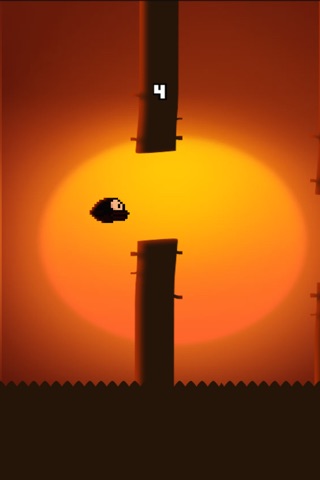 Cowboys Bird screenshot 4