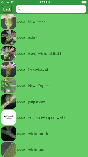 WildPlantID(圖5)-速報App