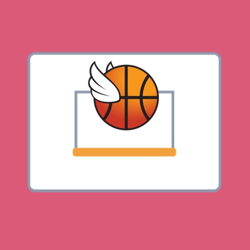 Basketball Dunk PRO icon