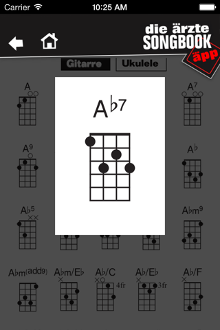 die ärzte Songbook - náhled