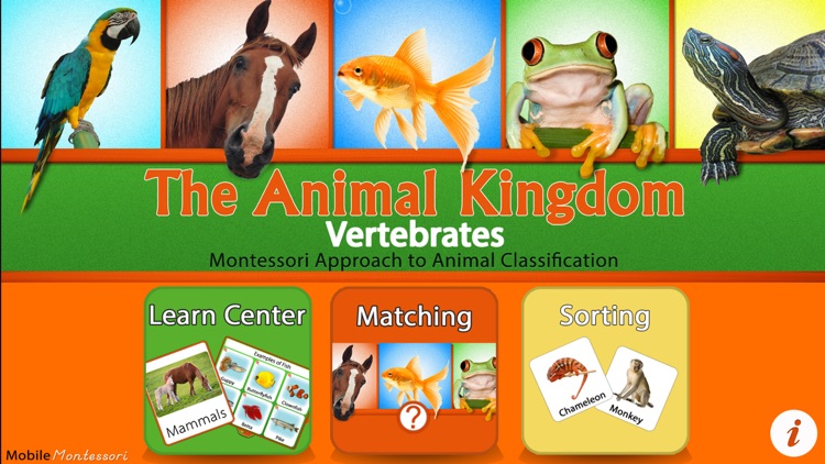Animal Kingdom (Vertebrates) by Rantek Inc.