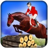 Real Horse Jumping Sports