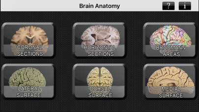 How to cancel & delete Brain Anatomy from iphone & ipad 1