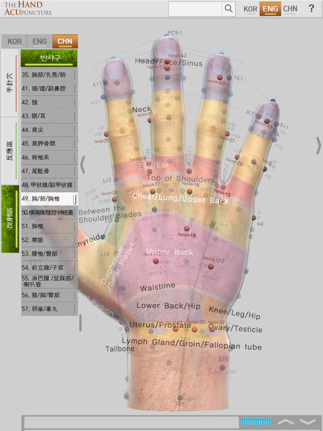 Master Tung Acupuncture Chart