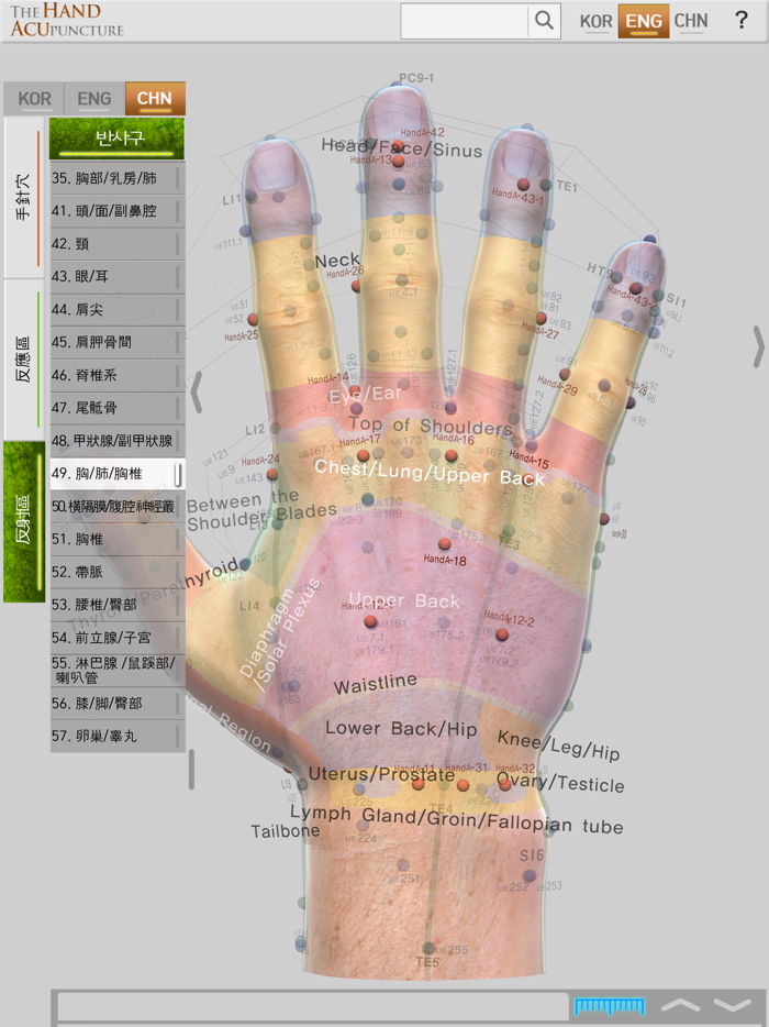 Hand Acupuncture