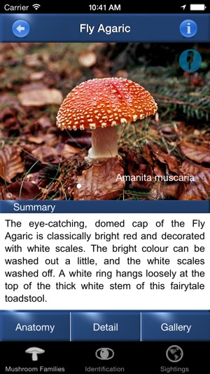 Mushroom Id Guide - UK(圖3)-速報App