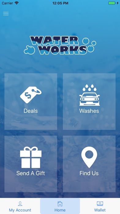 Water Works Car Wash screenshot 2