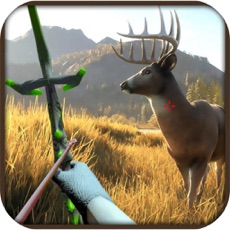 Activities of Archery Forest Animal 3D