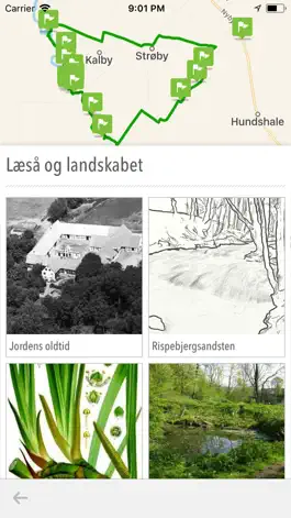 Game screenshot Linjer i landskabet apk