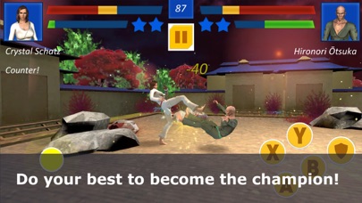 Shotokan Karate Ninja Fighting screenshot 2