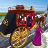 Horse Carriage Transporter Pro