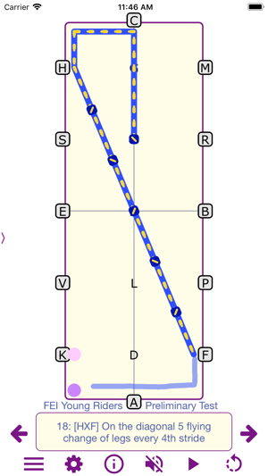 TestPro: FEI Dressage Tests(圖2)-速報App