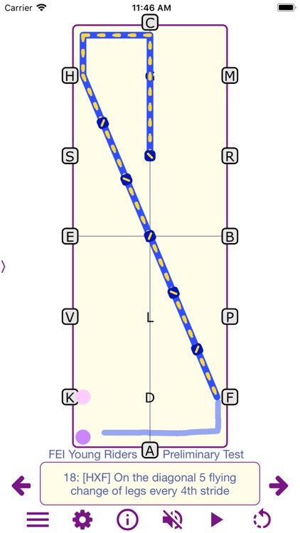 TestPro: FEI Dressage Tests