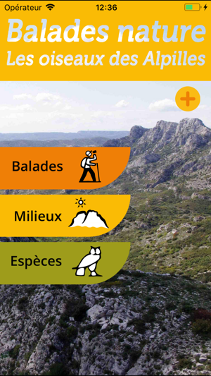 Les oiseaux des Alpilles