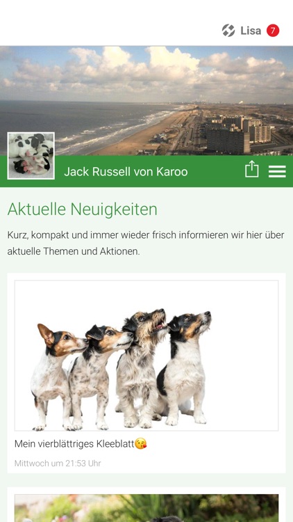 Jack Russell von Karoo