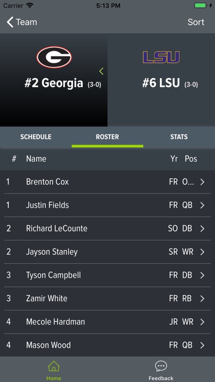 LSU Football 2018 screenshot-3