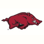 Arkansas Razorbacks PLUS Stickers