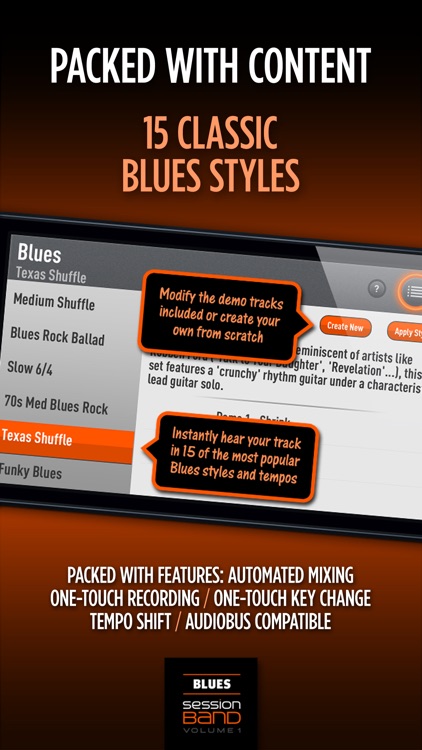 SessionBand Blues - Volume 1 screenshot-3
