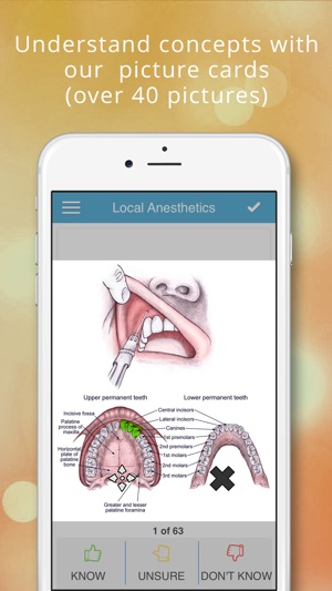 NBDE Board- Behavioral Science(圖2)-速報App