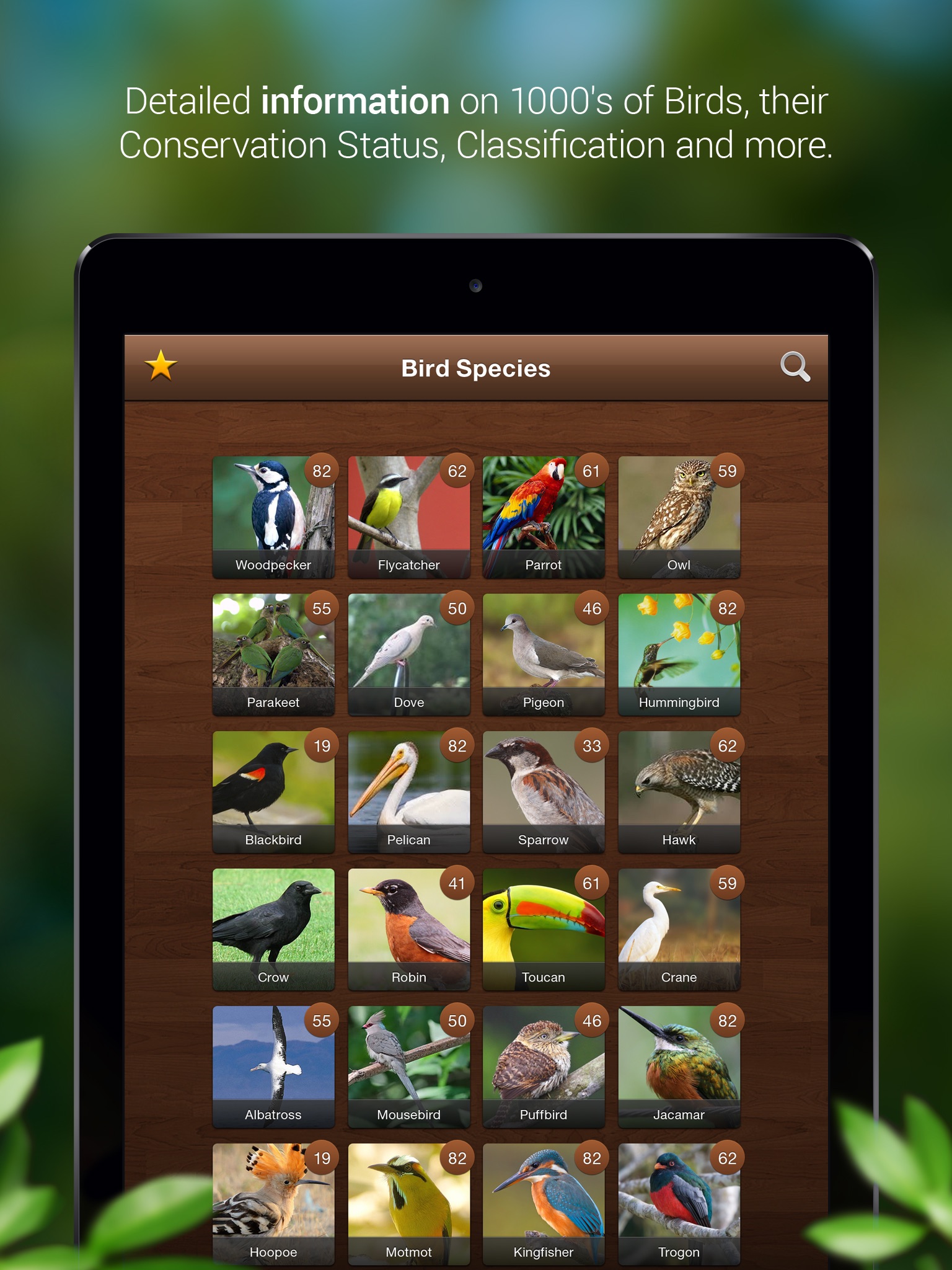 Bird Songs - Bird Call & Guide screenshot 3