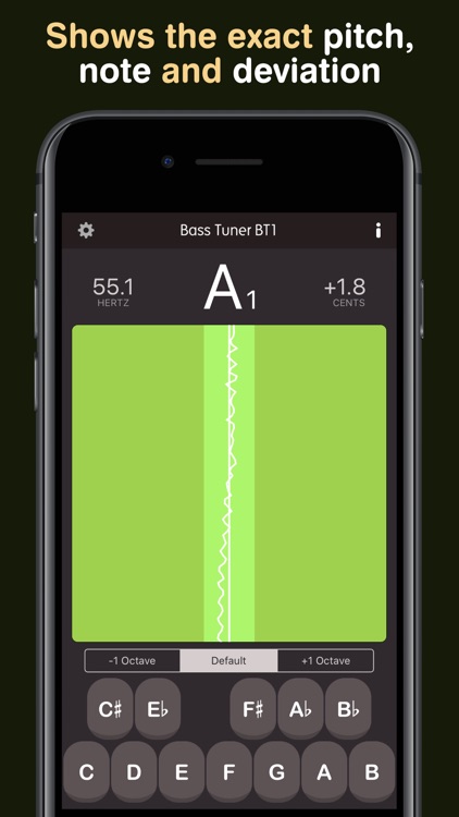 Bass Tuner BT1