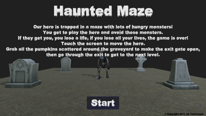 Haunted Maze Screenshot 1