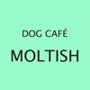 MOLTISH（モルティッシュ）