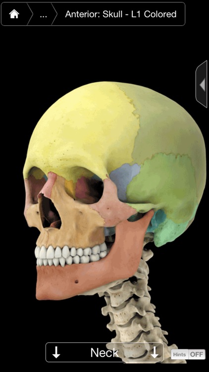Skeleton System Pro III-iPhone