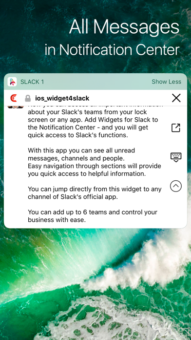 Widget for Slack Liteのおすすめ画像2