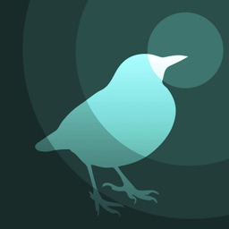 Telecharger Bird Radar Pour Iphone Ipad Sur L App Store Style De Vie