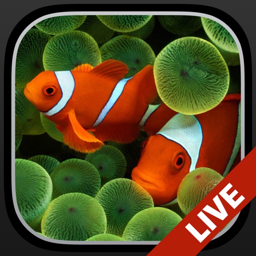Aquarium Moving Wallpapers+