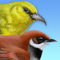 App Icon for iBird Hawaii & Palau Guide App in Turkey IOS App Store