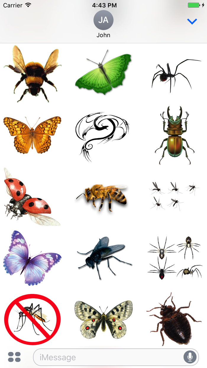 Fun Insect Stickers