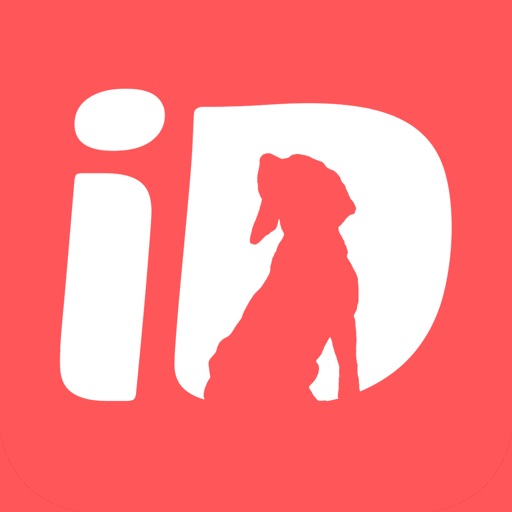 iDog