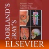 Pocket Atlas of Anatomy