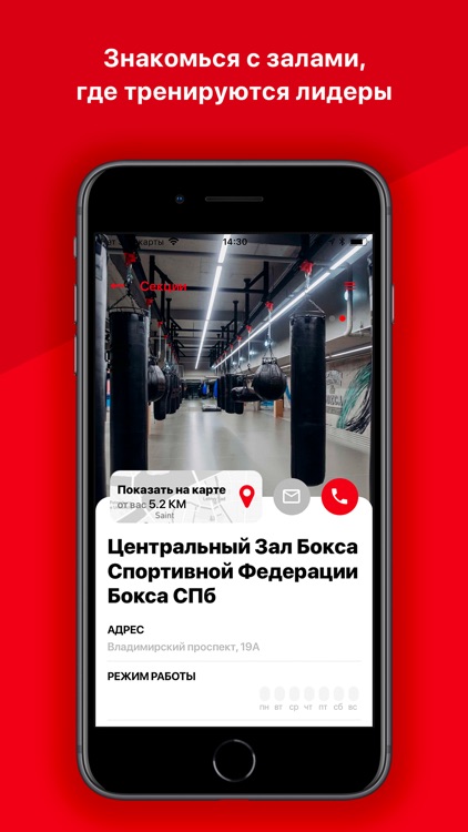 Бокс в Петербурге