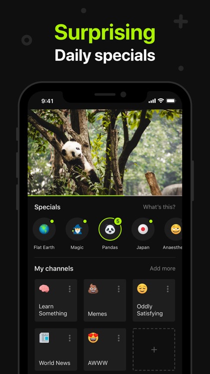 Neverthink: Handpicked videos screenshot-3