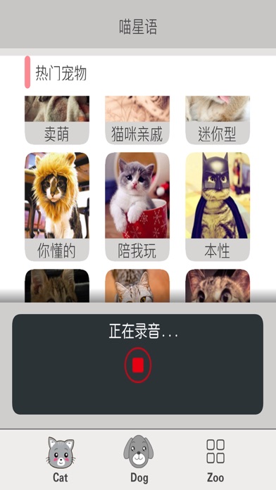 人猫狗语翻译器-猫语狗语交流 screenshot 2