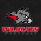 Kirchdorf Wildcats - American Football