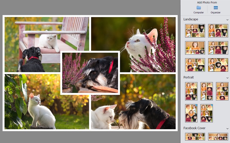 adobe photoshop elements 2019 mac free download full version