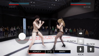Ultra Fighting Champion screenshot 4